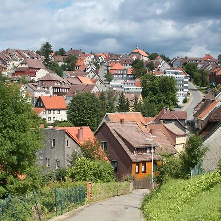 Ferienwohnung Wiesenblick Mit Terrasse Im Landhaus Fischer Sankt Andreasberg Zewnętrze zdjęcie