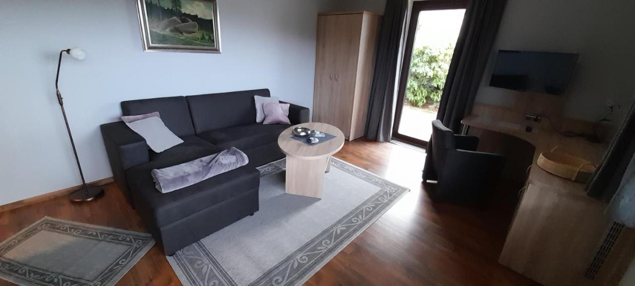 Ferienwohnung Wiesenblick Mit Terrasse Im Landhaus Fischer Sankt Andreasberg Zewnętrze zdjęcie