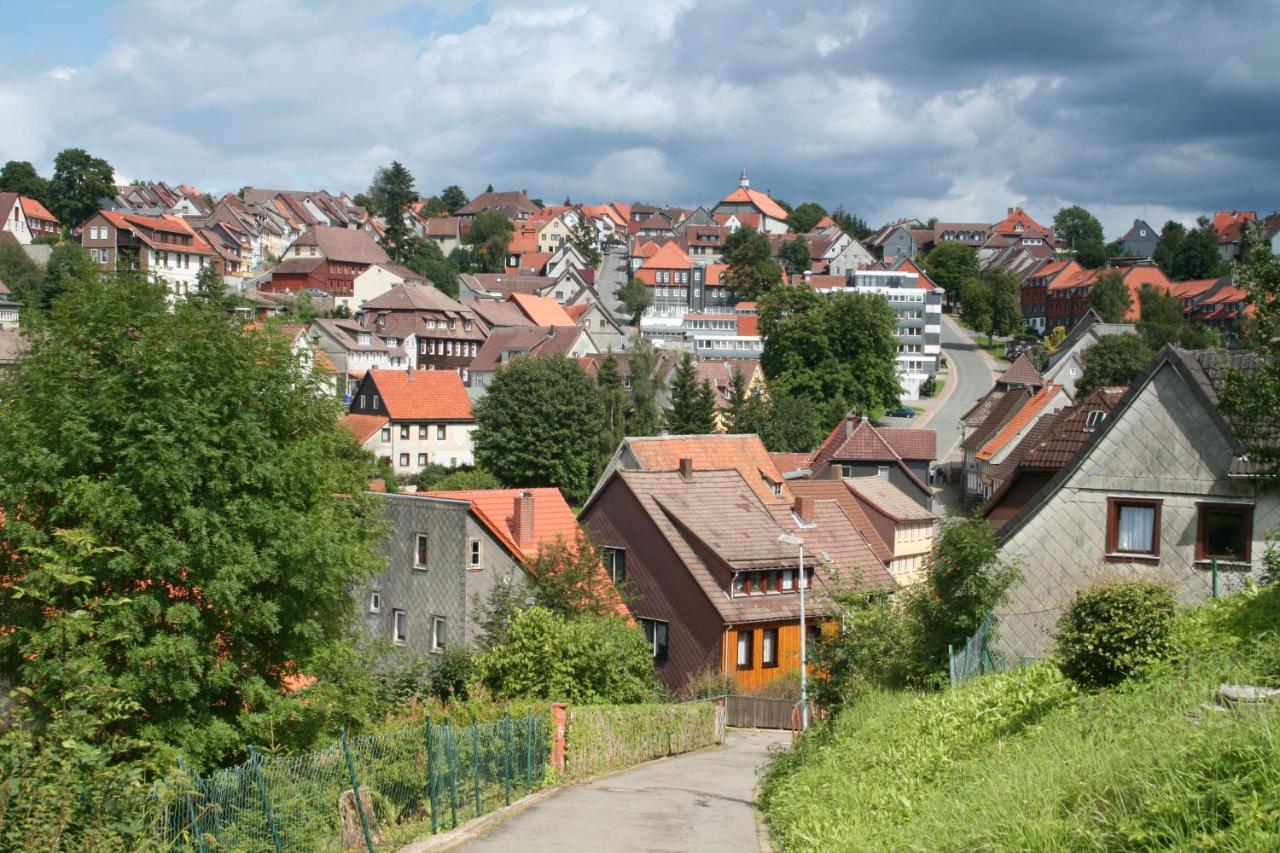 Ferienwohnung Wiesenblick Mit Terrasse Im Landhaus Fischer Sankt Andreasberg Zewnętrze zdjęcie